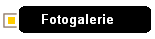 Fotogalerie