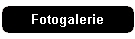 Fotogalerie
