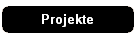 Projekte