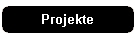 Projekte
