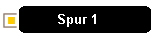 Spur 1