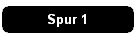 Spur 1