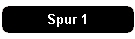 Spur 1