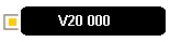 V20 000