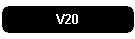 V20