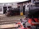 DSCF0341